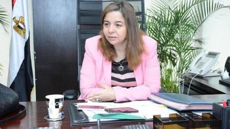 «الإسكان الاجتماعي» يكشف تفاصيل طرح 113 ألف وحدة سكنية