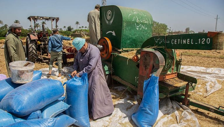 زيادة أجور القطاع الخاص في مصر مجدداً مع تدهور سعر الجنيه