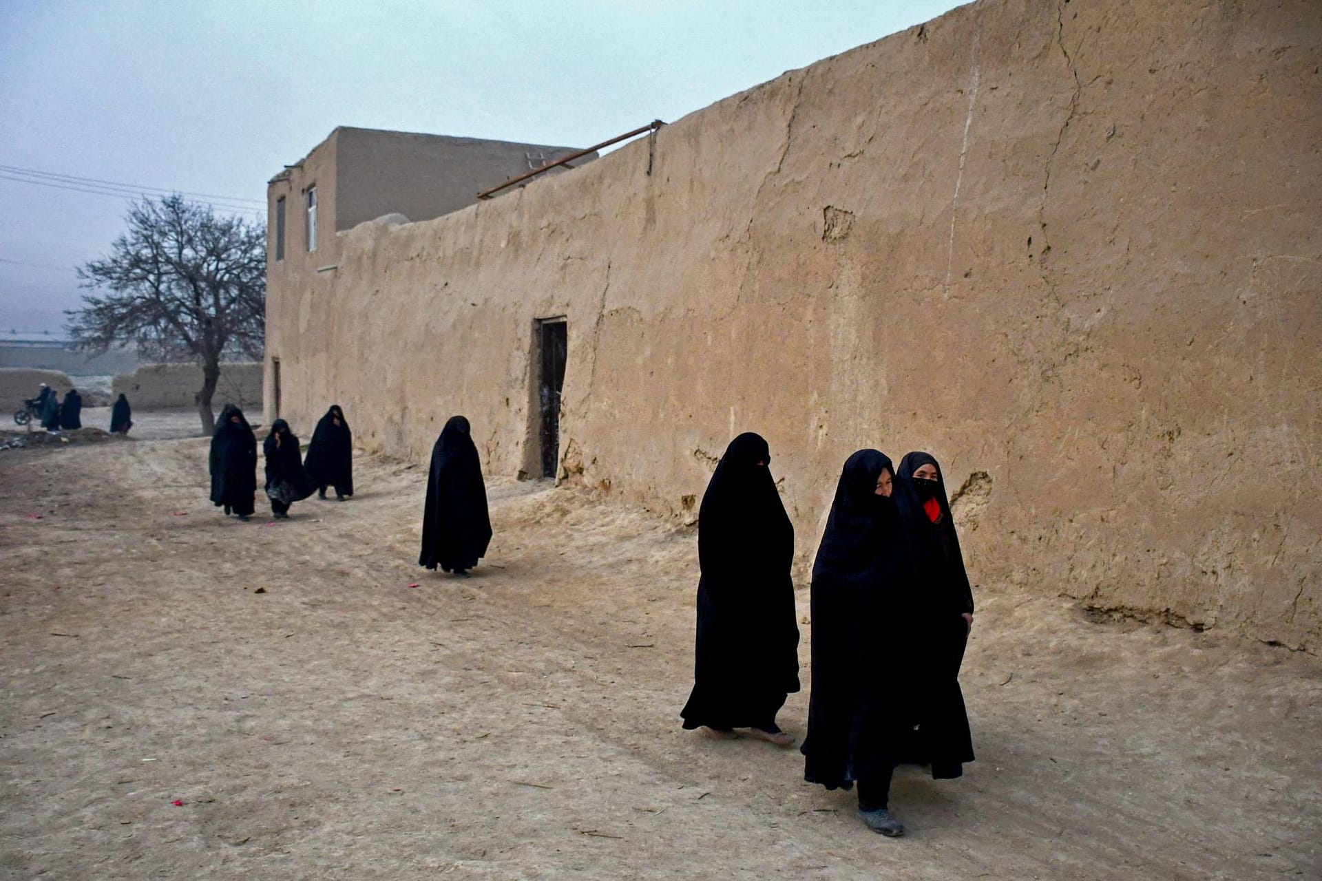 1735644714 244 الأمم المتحدة تعدُّ قرار طالبان منع النساء من العمل بمنظمات